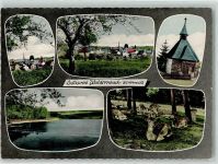 35794 W6296 Waldernbach Foto AK Kirche Kapelle See Reh Wild