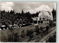 61479 W6246 Glashütten , Taunus Foto AK Wald Hotel Liegewiese Sonnenschirm Terrasse