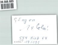 78234 W7707 Engen , Hegau FOTO KEINE AK Ort handschriftlich