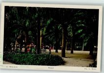Malaga Foto AK Park Foto Roisi