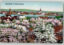 14542 O1512 Werder Havel 1898 - Windmühle