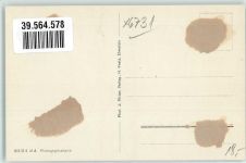 67471 W6738 Elmstein Gebrauchsspuren Klosterruine Appenthal