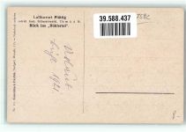77815 W7580 Plättig , Baden 1921 - Blick ins Bühlertal