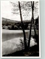 71540 W7157 Fornsbach , Württ FOTO KEINE AK Foto Original aus Archiv eines Ansichtskartenverlags Waldsee Ort handschriftlich