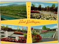 79415 W7848 Bad Bellingen , Baden Foto AK Grüße Schwimmbad Blumen Fahnen Springbrunnen