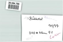 77830 W7582 Bühlertal FOTO KEINE AK Ort handschriftlich Schwimmbad Foto Original aus Archiv eines Ansichtskartenverlags