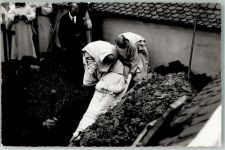 Begräbnis eines Vaters Foto Bulle Nr.3021 Friedhof Foto AK
