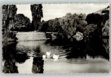 58636 W5860 Letmathe - Schwanenteich Volkspark