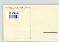 Wiener Verein Tiergespann Rinder Tierschutz