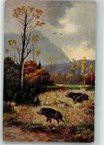 Wildschweine T.S.N. Serie 1749 Schönian, A. Künstlerkarte