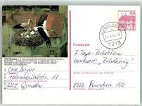 88348 W7968 Saulgau 1984 Ganzsache Storchennest