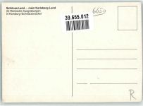 66424 W6650 Schwarzenacker - Römische Ausgrabungen