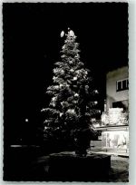 77716 W7612 Haslach im Kinzigtal FOTO KEINE AK Winter Tannenbaum Foto Original aus Archiv eines Ansichtskartenverlags