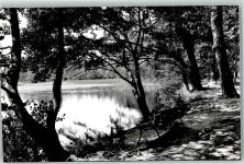 26316 W2930 Dangast FOTO KEINE AK Foto Original aus Archiv eines Ansichtskartenverlags Ort handschriftlich