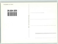 Turmfalken im Horst Raubvogel