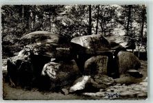 29683 W3032 Fallingbostel Foto AK Hünengräber
