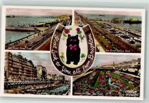 Brighton Foto AK Katze Grand Hotel Sunken Gardens Hafen