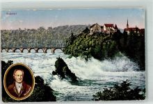 Laufen Rheinfall und Schiller Wasserfall