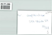 88605 W7790 Meßkirch FOTO KEINE AK Kirche Ort handschriftlich Foto Original aus Archiv eines Ansichtskartenverlags