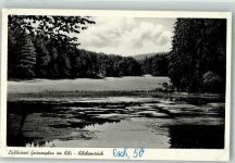 37632 W3456 Eschershausen , Ith Foto AK Grünenplan im Hils Hilsbornteich