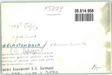 57629 W5239 Höchstenbach FOTO KEINE AK mit Ev. Kirche Foto Original aus Archiv eines Ansichtskartenverlags Ort handschriftlich