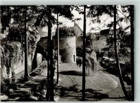 97941 W6972 Tauberbischofsheim Foto AK Parkanlage an der Stadtmauer