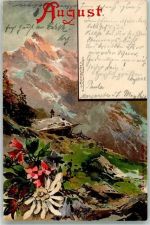 Monats AK August Edelweiß Blumen Berge Guggenberger, T. 1899 Lithographie / Künstlerkarte