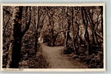 26548 W2982 Norderney - Marienheim Ort handschriftlich Promenade im Wald