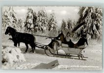59955 W5788 Winterberg , Westf Gebrauchsspuren Winter Pferdeschlitten am Kahlen Asten