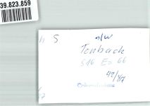 72270 W7292 Tonbach FOTO KEINE AK Ort handschrfitlich Foto Original aus Archiv eines Ansichtskartenverlags