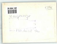 26486 W2946 Wangerooge , Nordseebad FOTO KEINE AK Ort handschriftlich Foto Original aus Archiv eines Ansichtskartenverlags