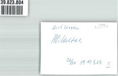 72270 W7292 Mitteltal FOTO KEINE AK Ort handschriftlich Foto Original aus Archiv eines Ansichtskartenverlags