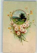 Margeriten um einen Bilderrahmen Pflanzen 1907 Prägedruck