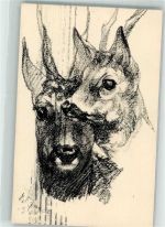W8000 München Gemsen sign. von Zügel H. Studienmappe Zoo 1917 Künstlerkarte