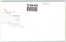 50321 W5040 Brühl , Rheinl FOTO KEINE AK Mönchweiher Ort handschriftlich Foto Original aus Archiv eines Ansichtskartenverlags