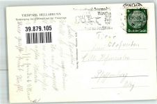 W8000 München Hellabrunn Spaziergang d. Elefanten a.d. Freianlage Zoo