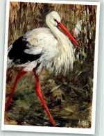 sign. Menzel Adolph : Storch im Schilf Bruckmann Bildkarte Nr. 355 Storch Künstlerkarte
