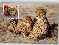 Gepard WWF Briefmarken Lexikon Philatelie Raubkatze