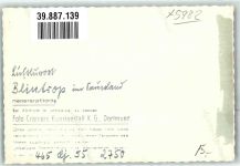 58809 W5982 Blintrop FOTO KEINE AK Fliegeraufnahme Ort handschrfitlich Foto Original aus Archiv eines Ansichtskartenverlags