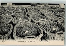 Vendange en Champagne Wein