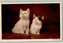 Katzen 2 Sammlung Serie 42 Herrlich, Lotte