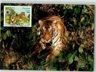 WWF World Fund for Nature Philatelie Tiger Maximum AK