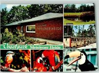 48629 W4439 Metelen - Vogelpark Metelener Heide