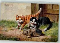 Maus Katzen Erika Nr. 1973 Müller, A. (München) Künstlerkarte