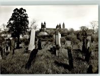 W6520 Worms Ältester Judenfriedhof Europas mit dem Dom Jüdischer Friedhof Foto AK