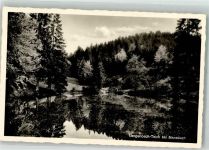 98693 O6313 Manebach Foto AK Langenbachteich Verlag Bechstein Nr. 145