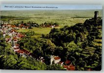 67098 W6706 Wachenheim an der Weinstraße 1929 Foto AK