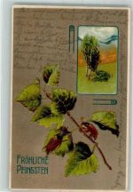 Birke Zweig Pfingsten Maikäfer 1913 Prägedruck