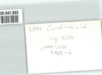 26409 W2944 Carolinensiel , Ostfriesl FOTO KEINE AK Schwimmbad Ort handschriftlich