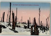 Am Gipfel d. Hartmannsweilerkopfes im Dezember Naturereignis